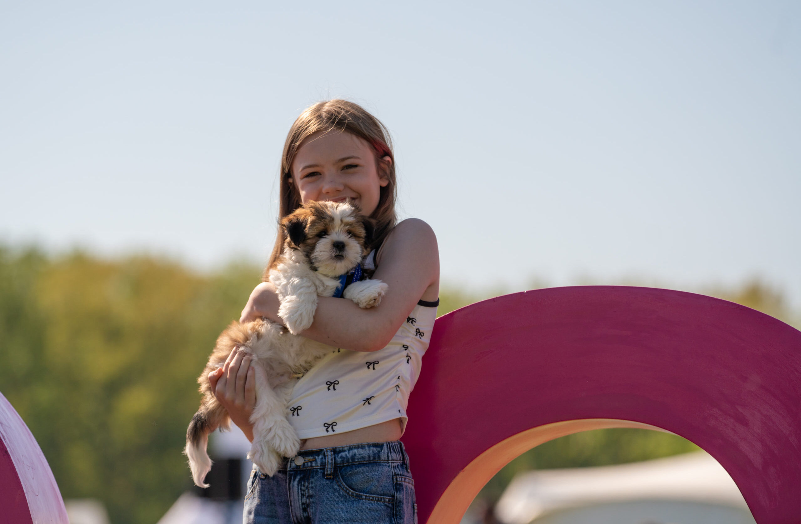 dogfest competition
