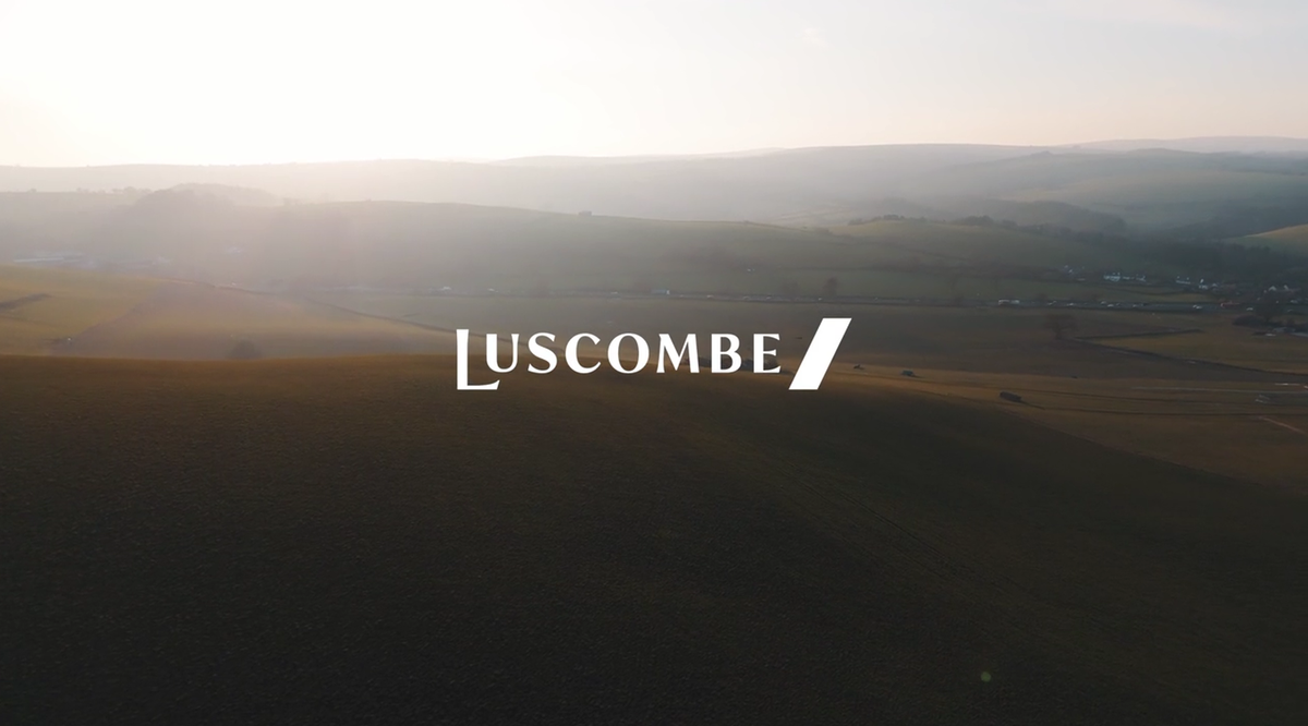 luscombe competition