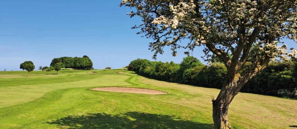 northerngolfer competition