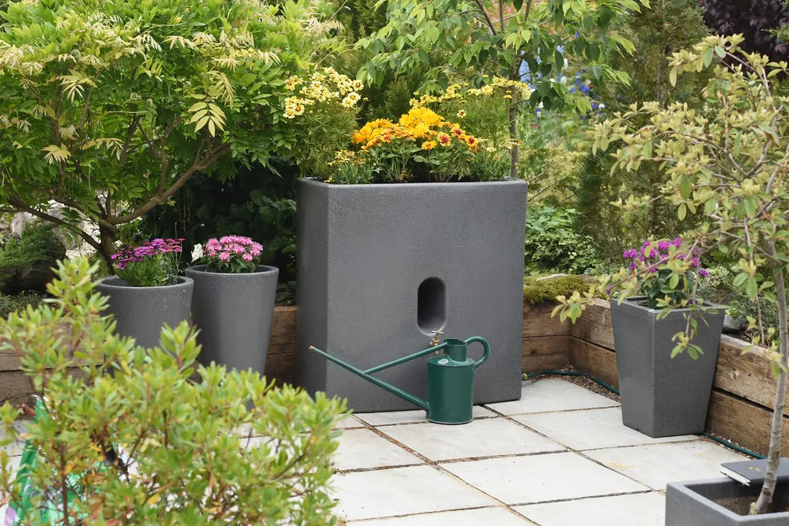 allotmentonline competition