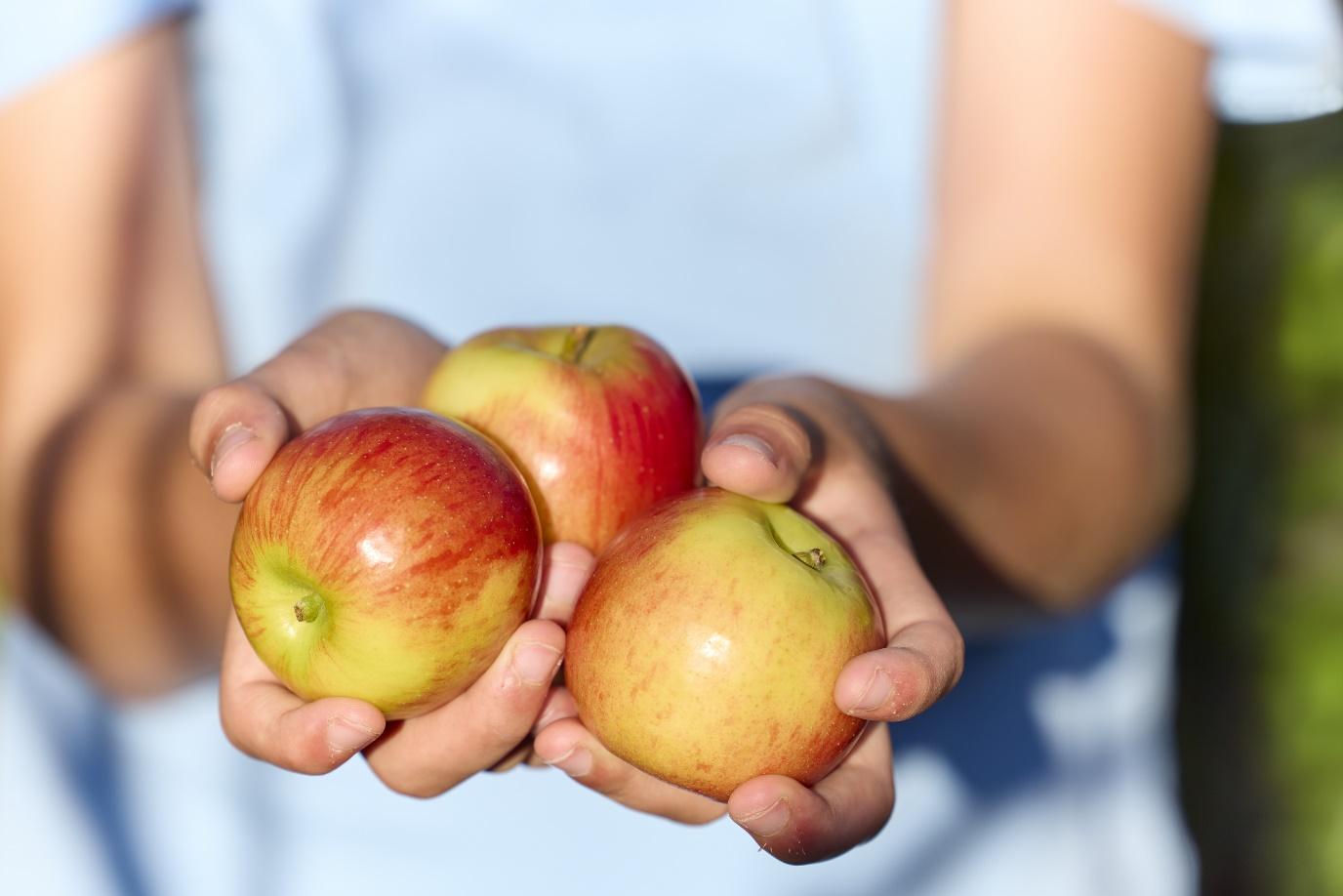 jazzapple competition