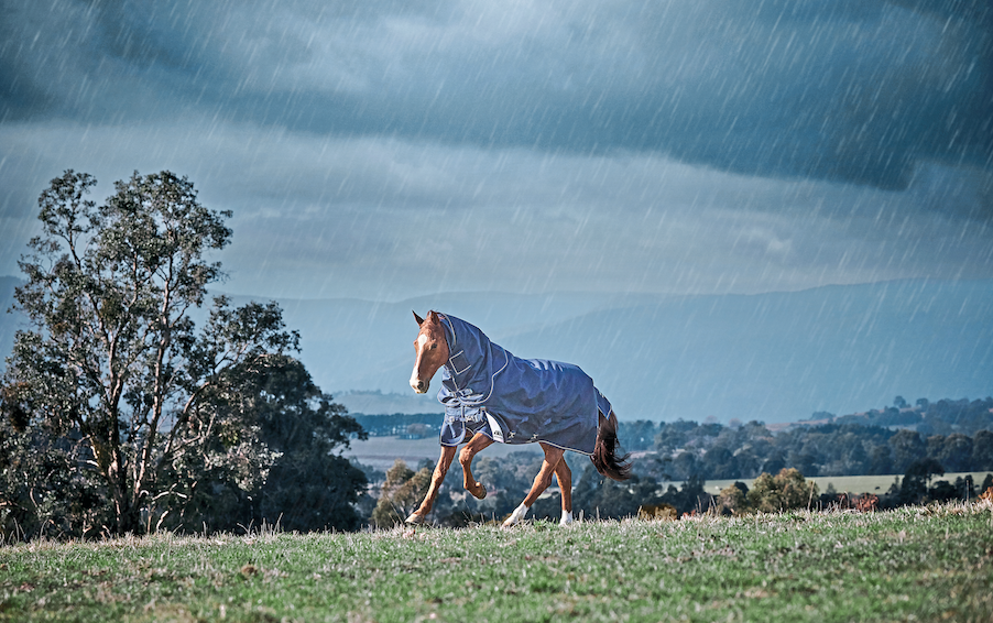 yourhorse competition