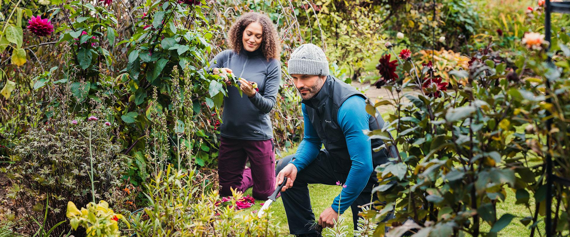allotmentonline competition