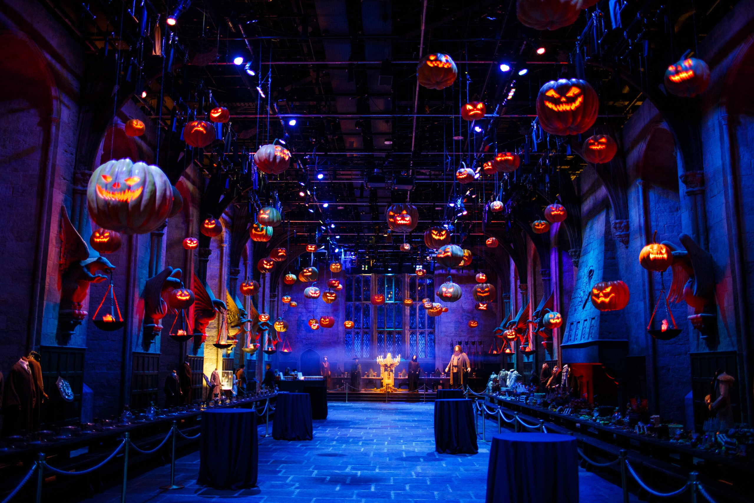 wbstudiotour competition