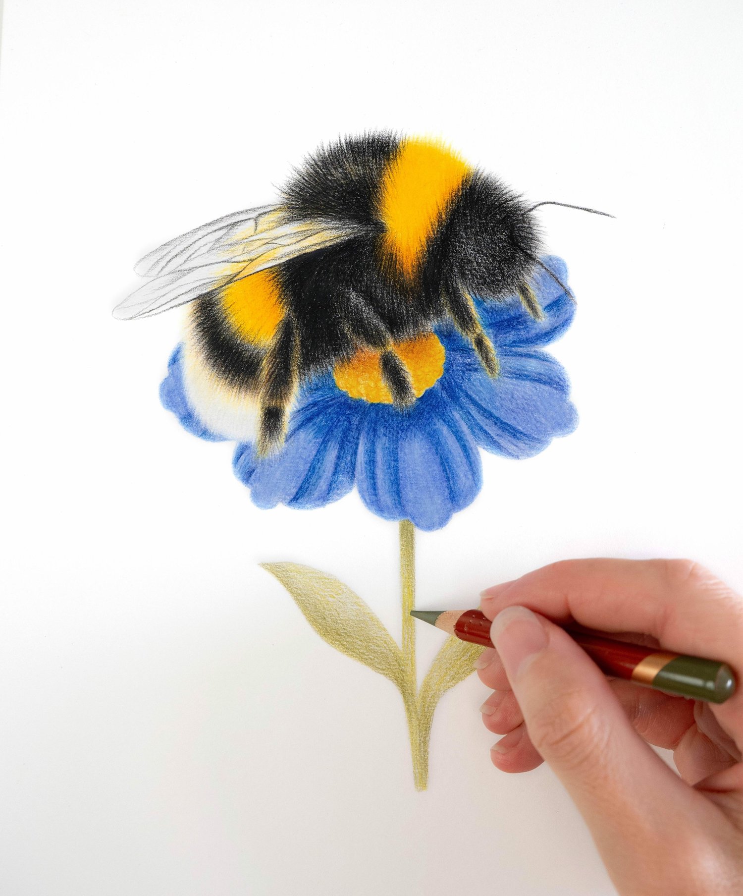thesimplethings competition