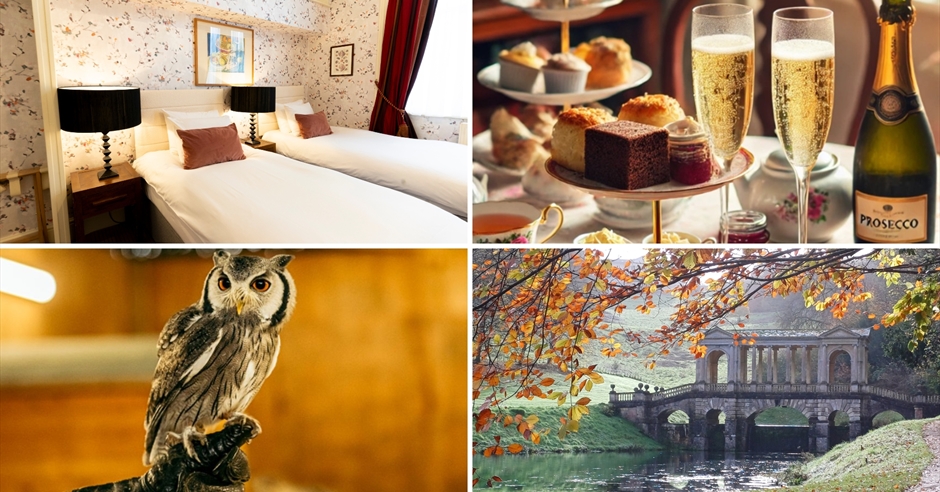 visitbath competition