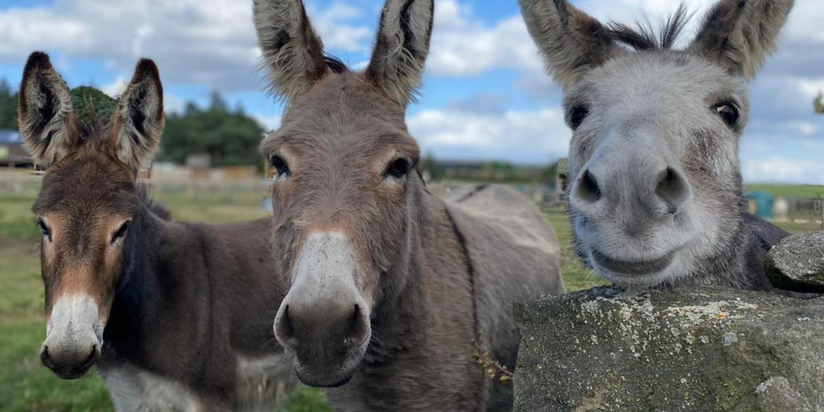 rmcmedia competition