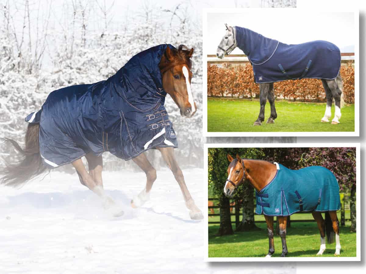 horseandrideruk competition