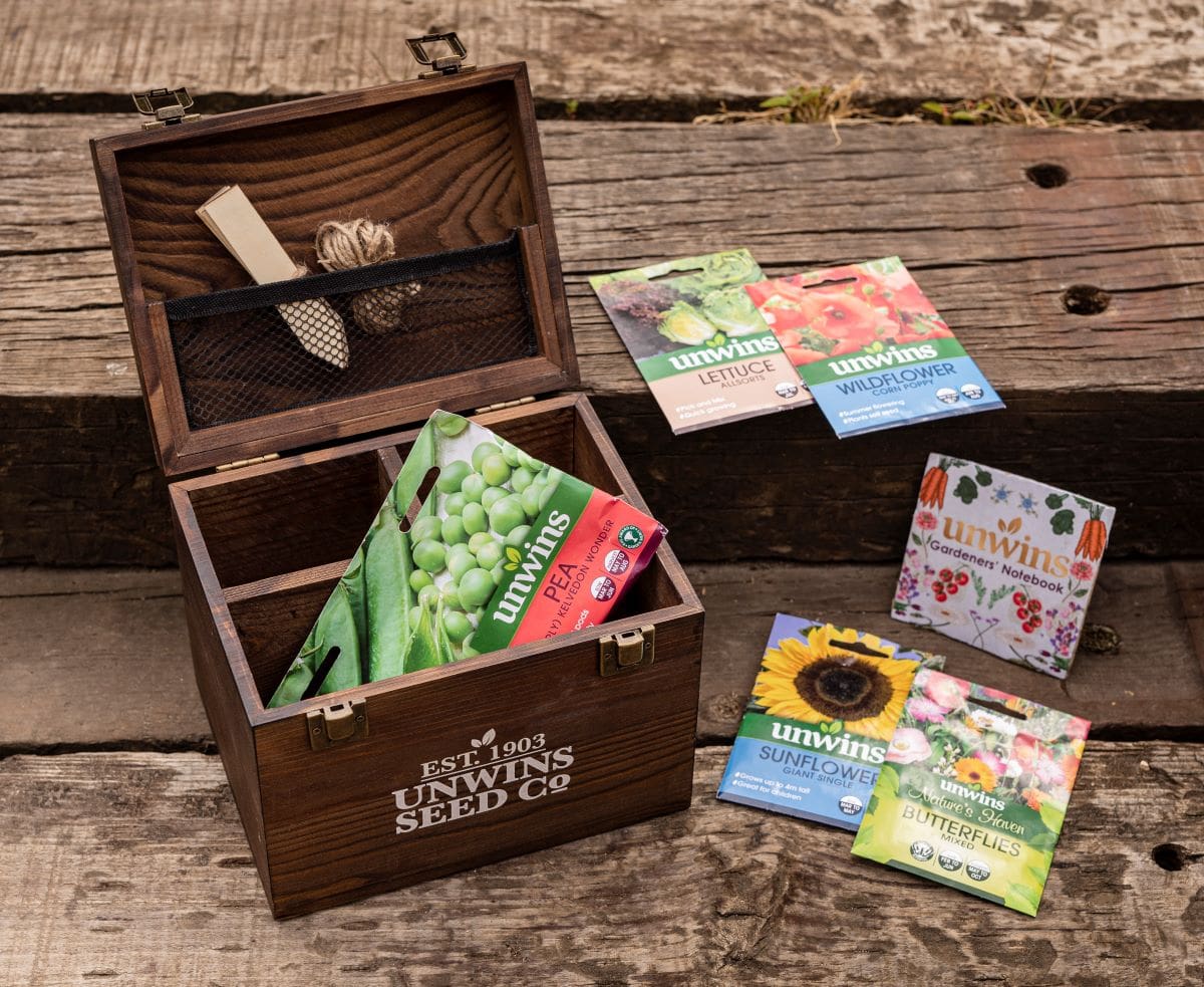 kitchengarden competition