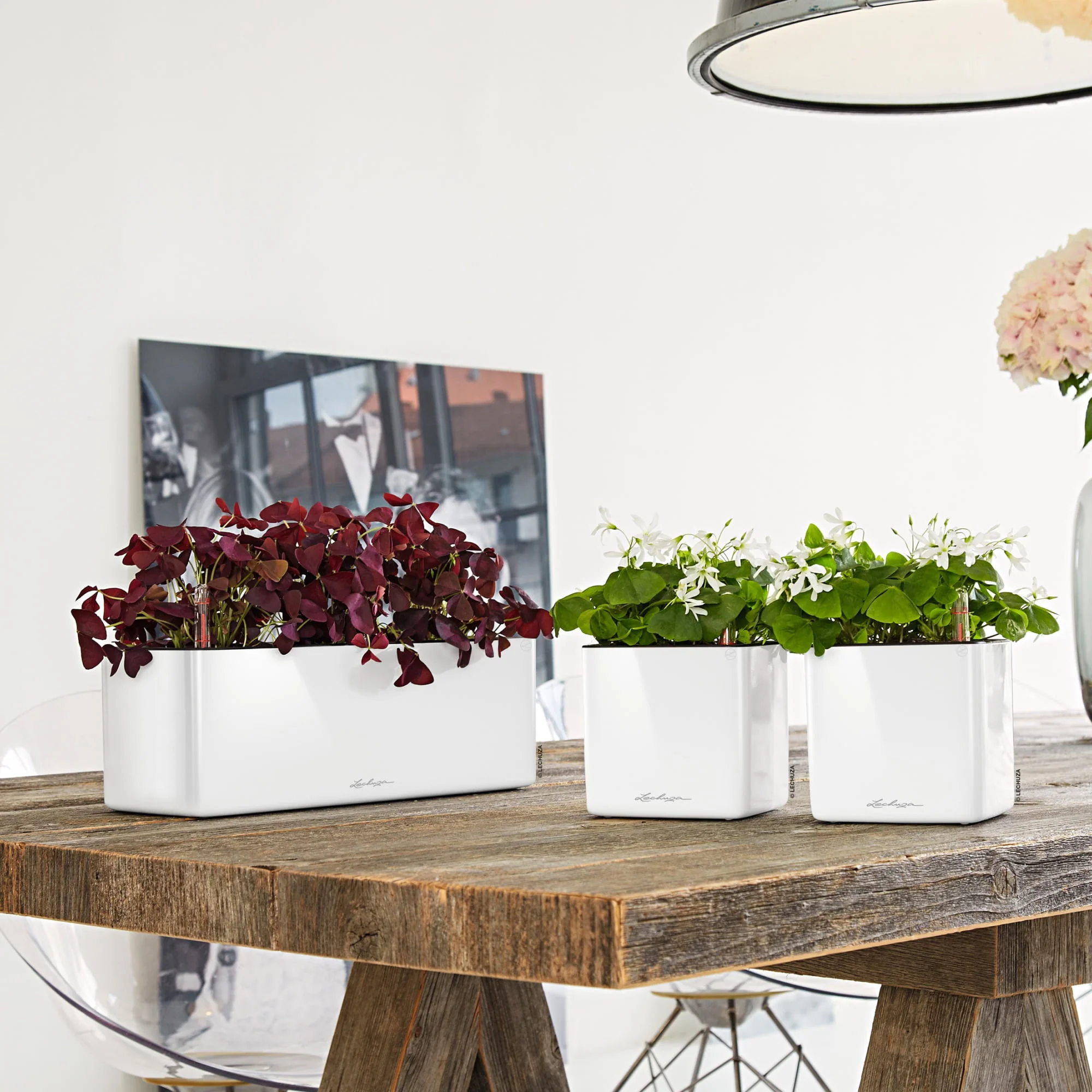 jlifemagazine competition