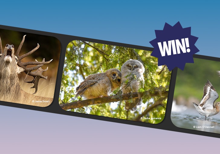 natgeokids competition