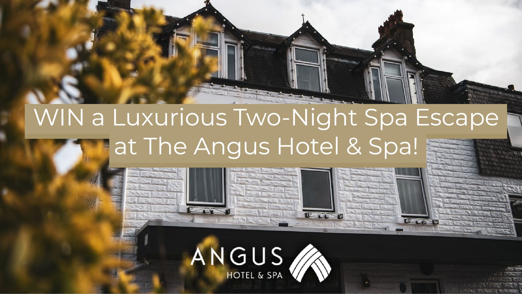 hellorayo competition