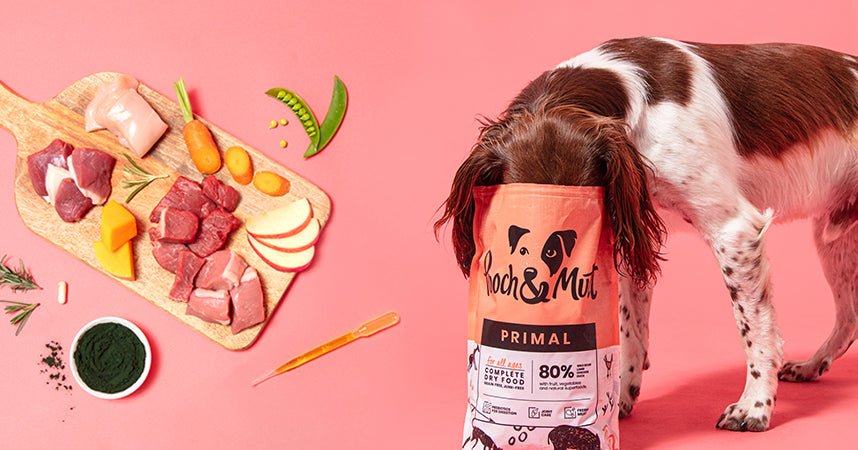 poochandmutt competition
