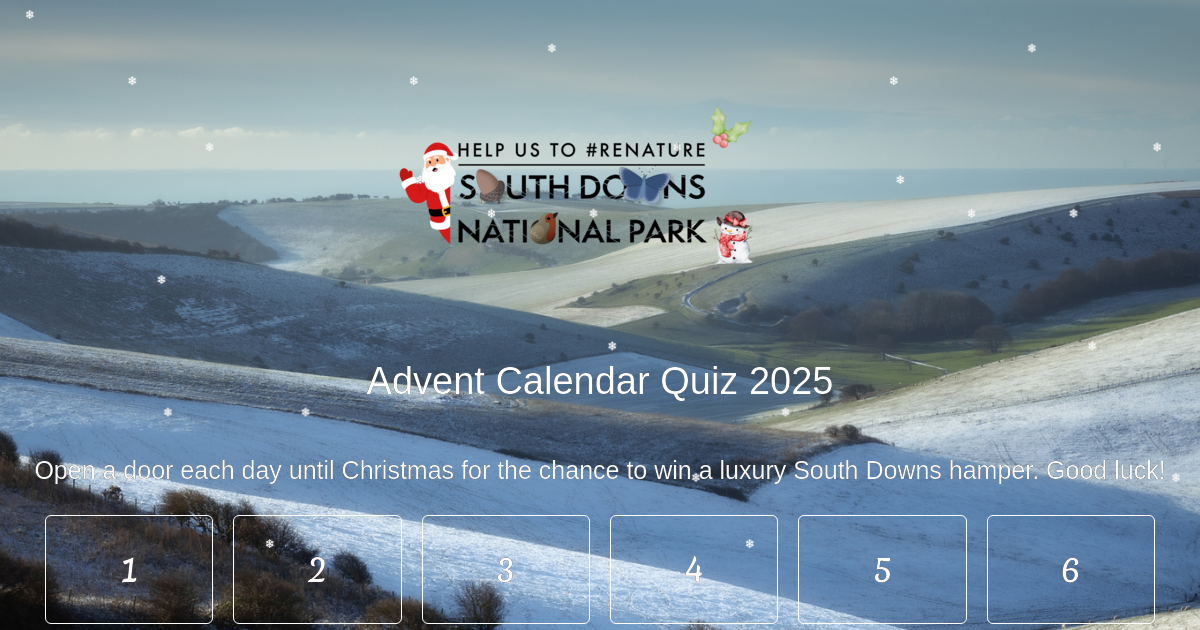 adventcalendar competition