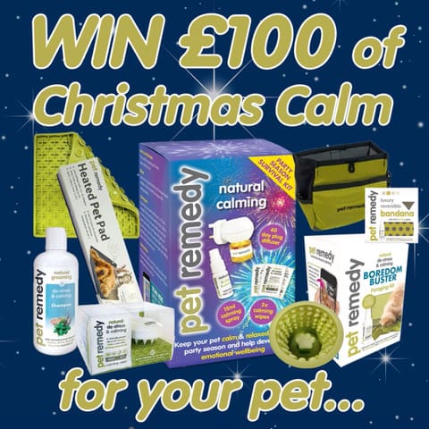 petremedy competition