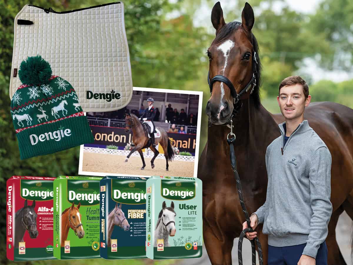 horseandrideruk competition