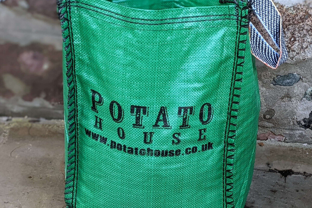 amateurgardening competition