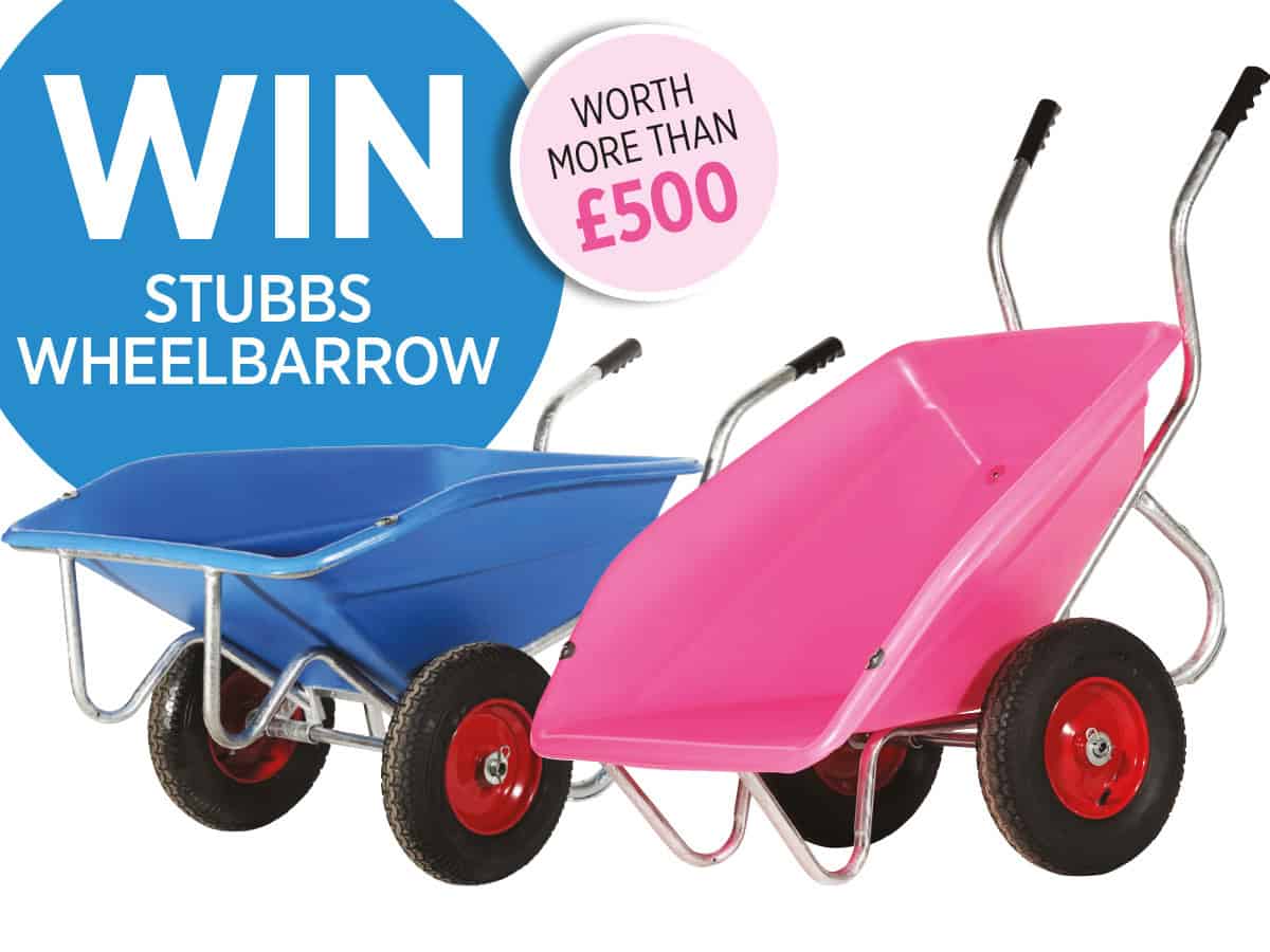 horseandrideruk competition