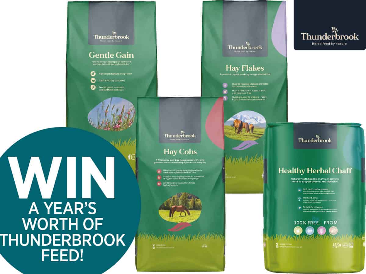horseandrideruk competition