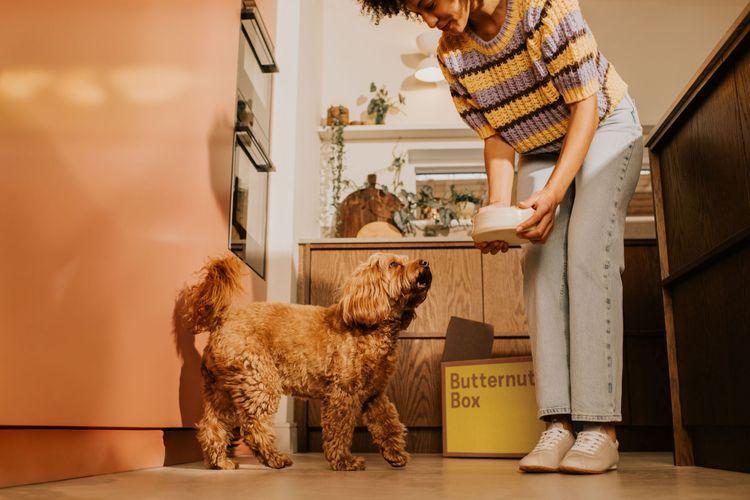 pawsandstay competition