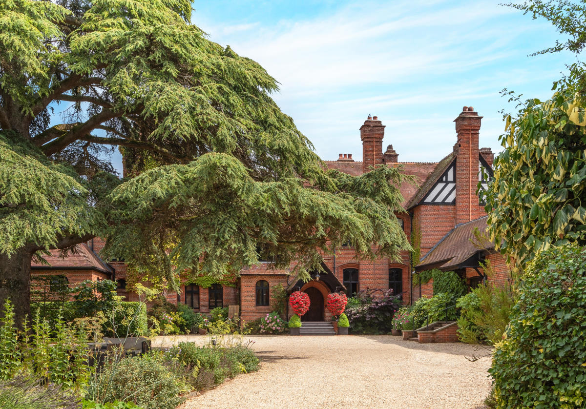 thenewforest competition