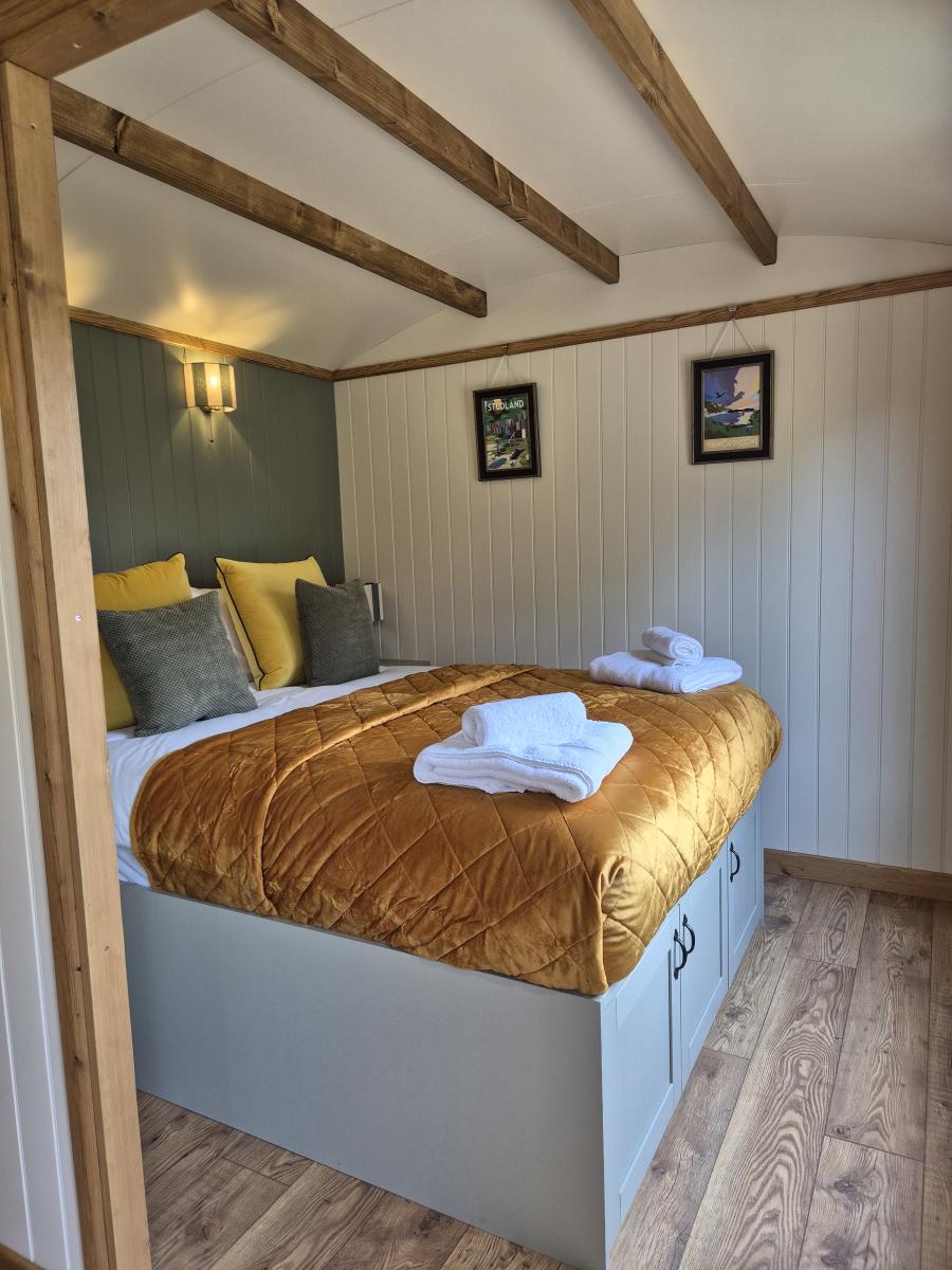 thenewforest competition