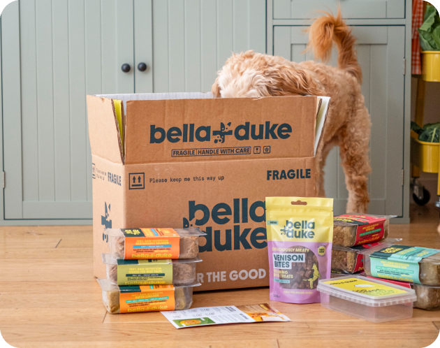 bellaandduke competition