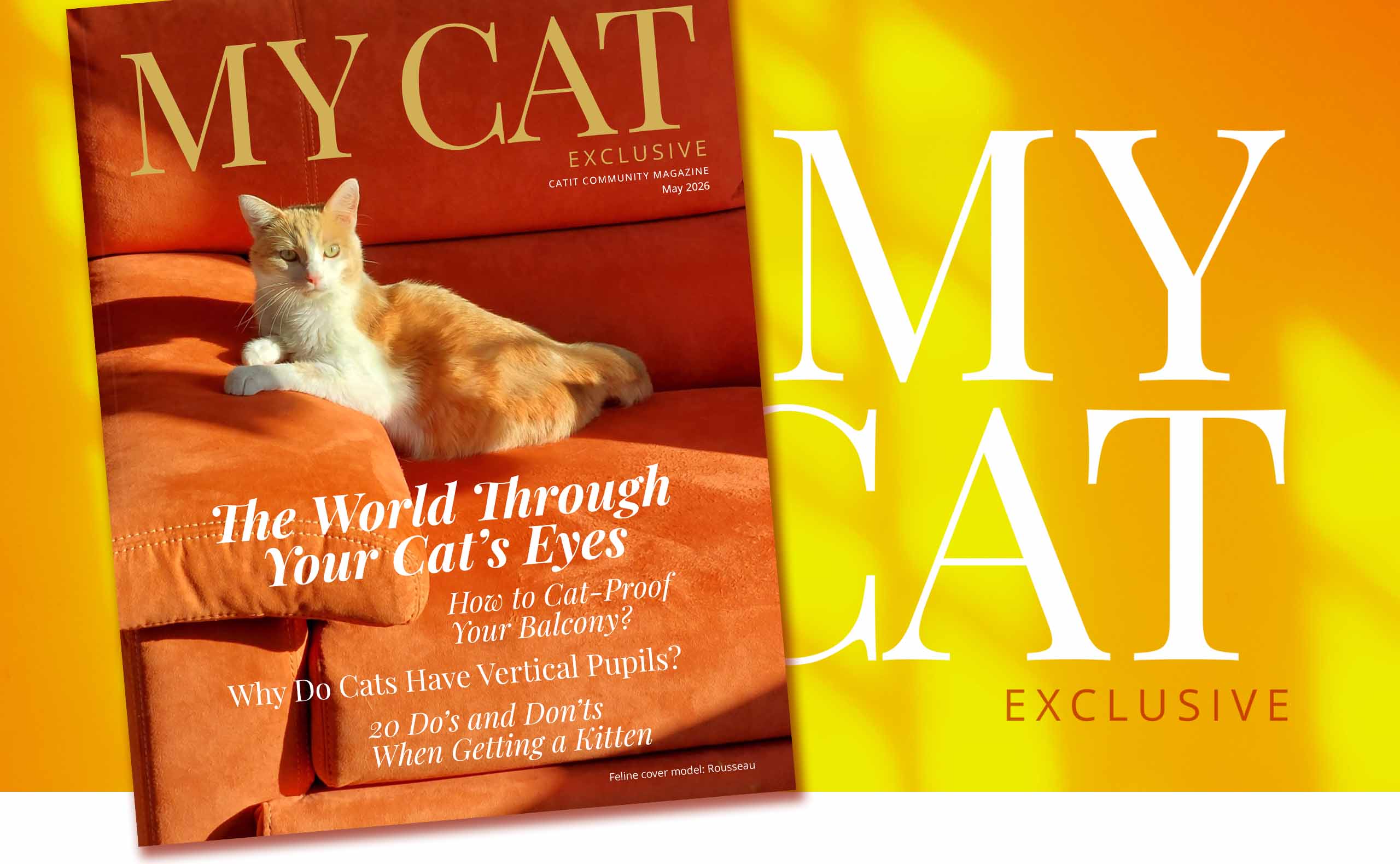 catit competition