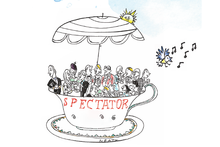 spectator competition