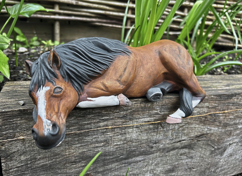 yourhorse competition