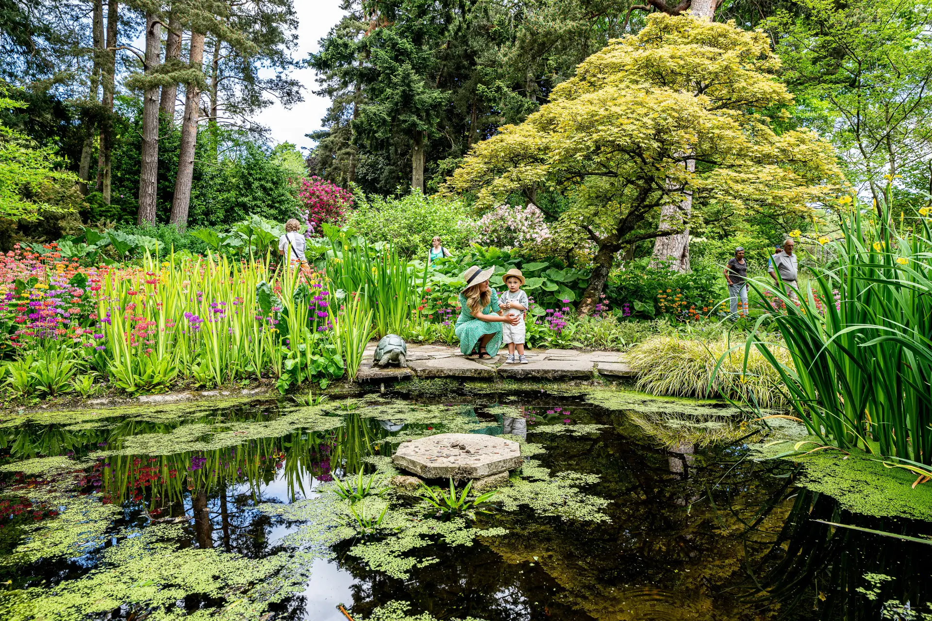 allotmentonline competition