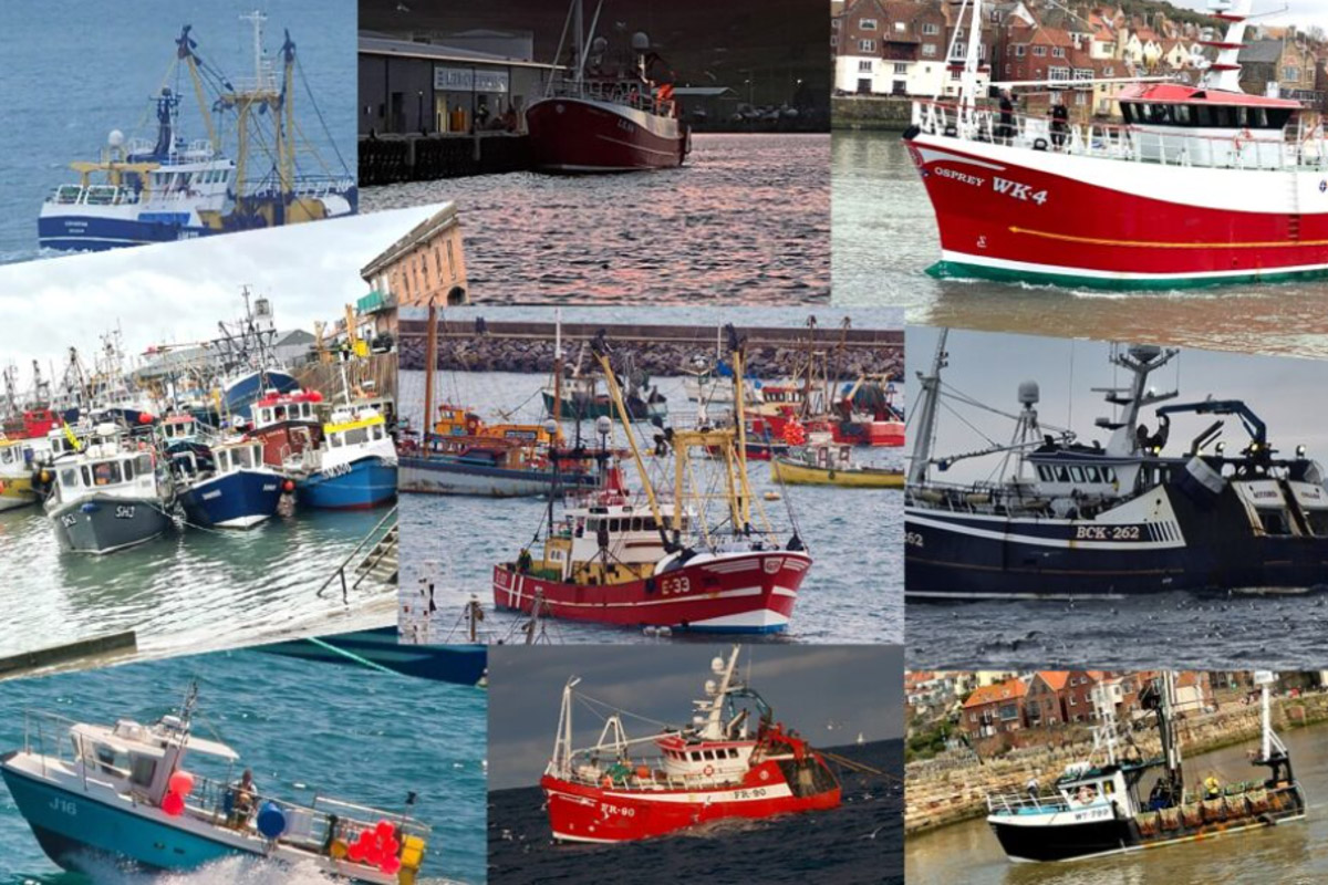 fishingnews competition