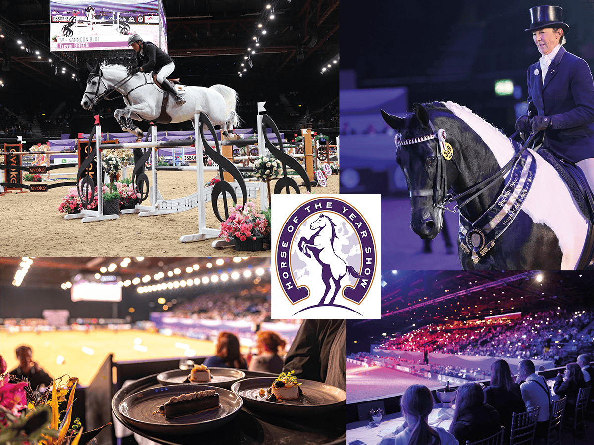 horseandrideruk competition