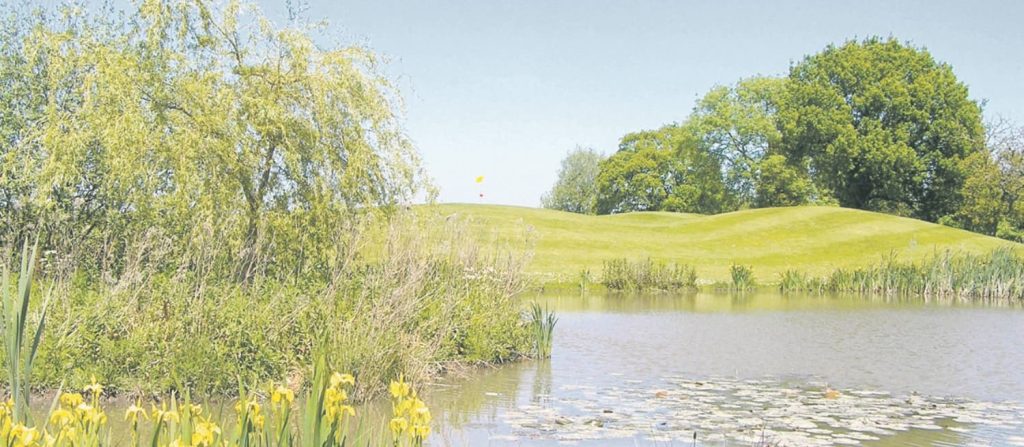 northerngolfer competition