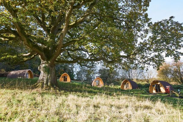 totalguidetowiltshire competition
