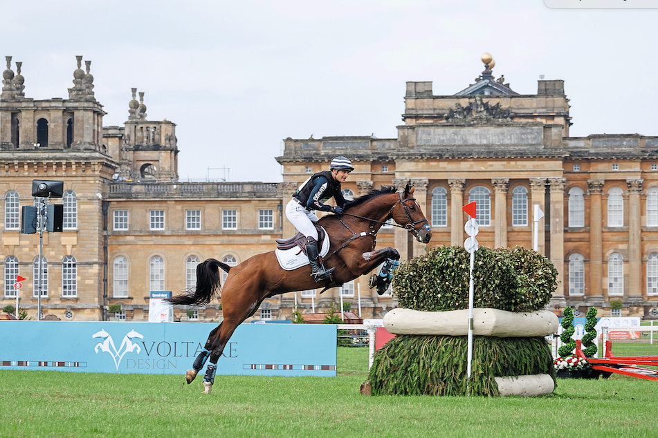 yourhorse competition