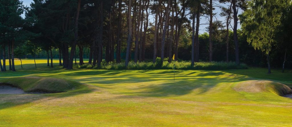 northerngolfer competition