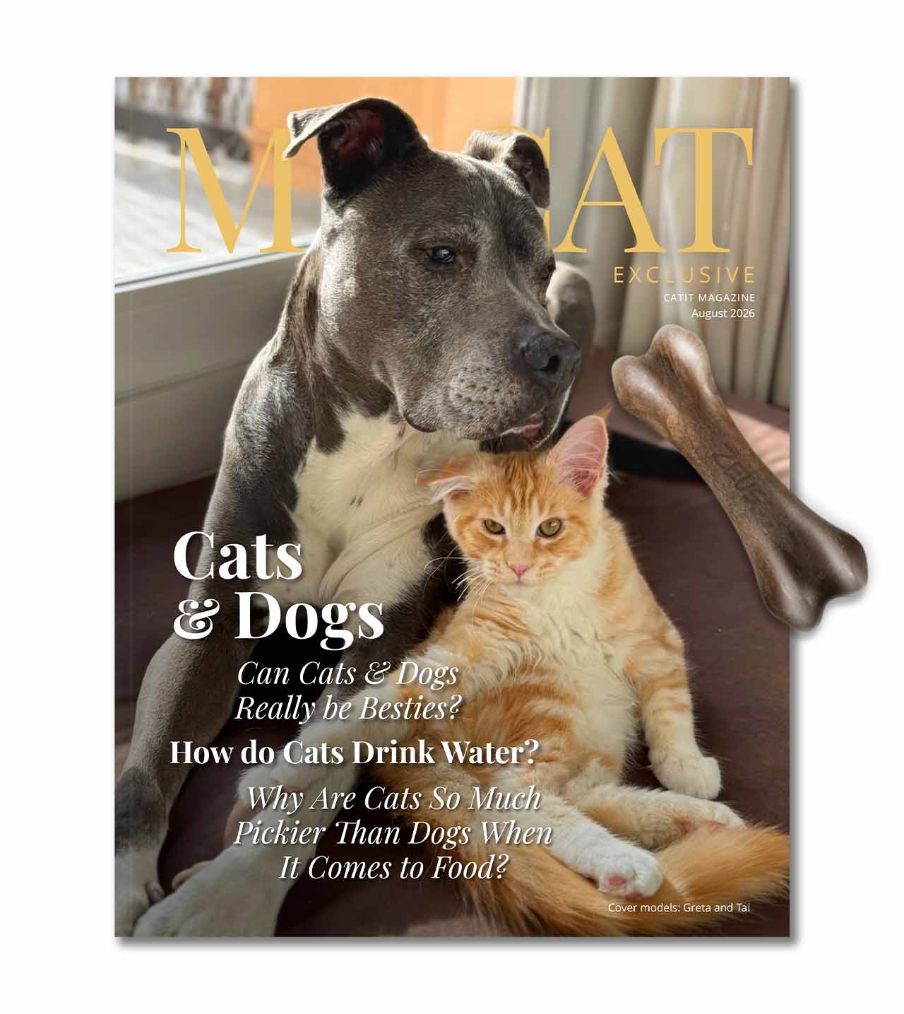 catit competition