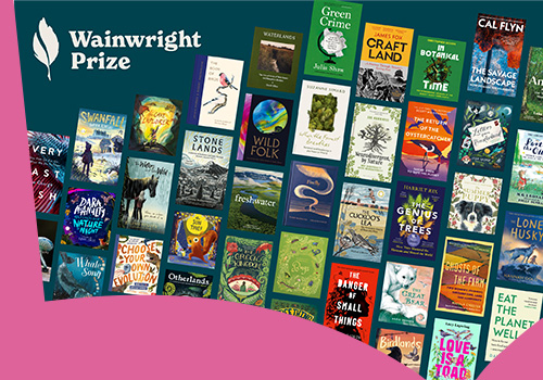 nationalbooktokens competition