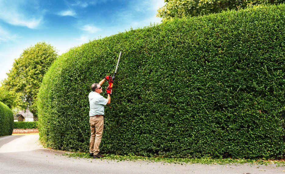 Gardenanswersmagazine competition