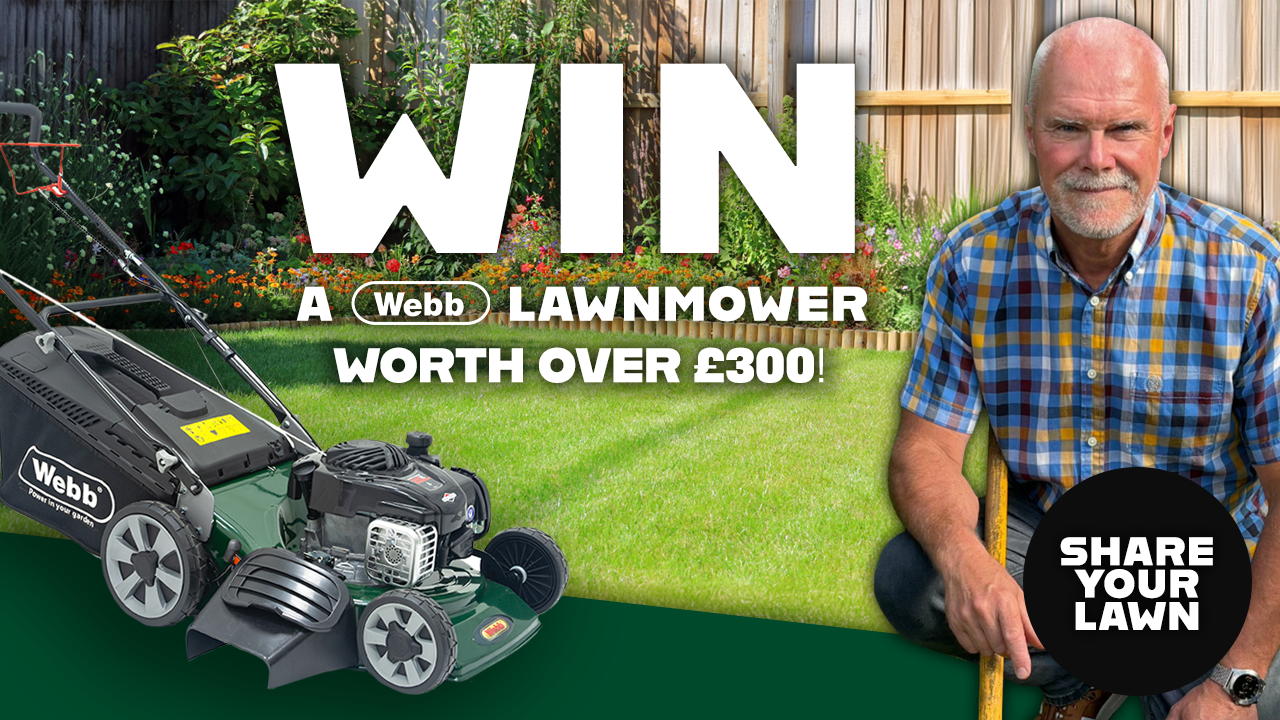 Webbgardenpower competition