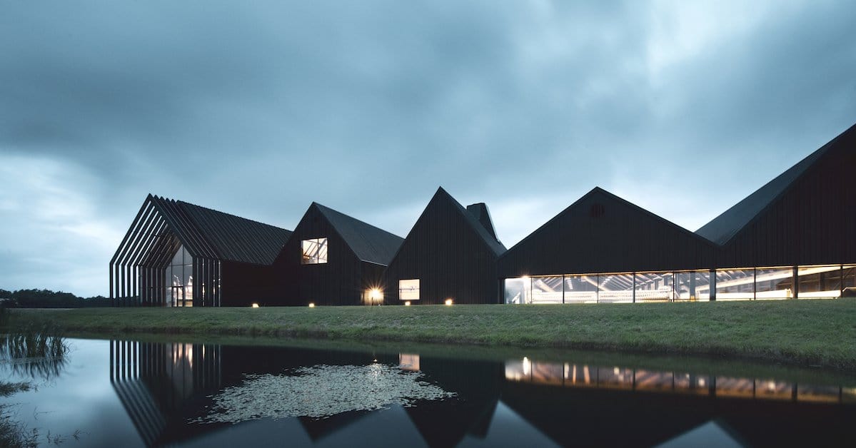 stauningwhisky competition
